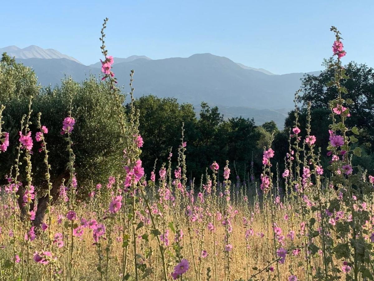 Villa Fatima Vryses Buitenkant foto